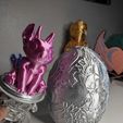 IMG_20230323_161123.jpg Angel egg