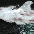 123.jpg SHARK, DOWNLOAD Shark 3D modeL - Animated for Blender-fbx-unity-maya-unreal-c4d-3ds max - 3D printing SHARK SHARK FISH - TERROR  - PREDATOR - PREY - POKÉMON - DINOSAUR - RAPTOR