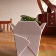 bis.jpg Chinese takeout box, succulent PLANTER