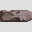 Patagotitan-crâne05.jpg Patagotitan skull in 3D