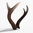 Product_Image-0005.jpg Small Antlers | Bramble
