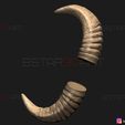 06.jpg Buffalo Horns - Satan Horns - Demon Horns