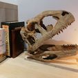 IMG_20210703_204826.jpg Majungasaurus skull 3D Print - dinosaur