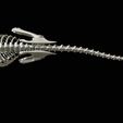 06.jpg Tyrannosaurus rex: 3D skeleton