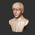 02.jpg Paul McCartney 3D print model