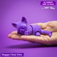 16.jpg Sphynx cat - articulated flexi toy (#15)