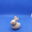 1615918030548.jpg Small rabbit - Petit Lapin