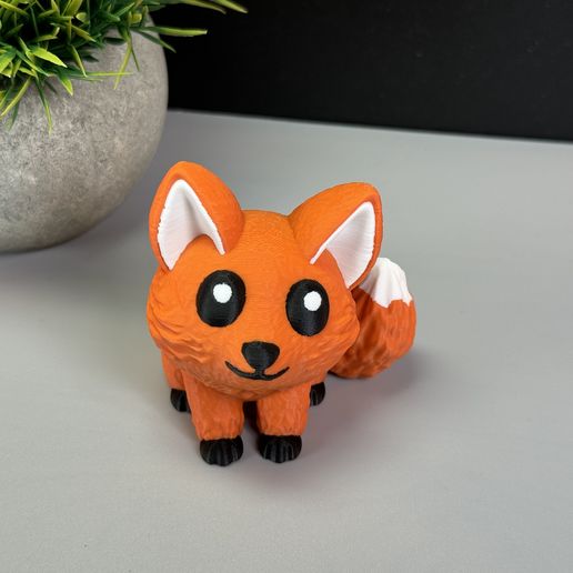 IMG_2245.jpg Lindo zorro