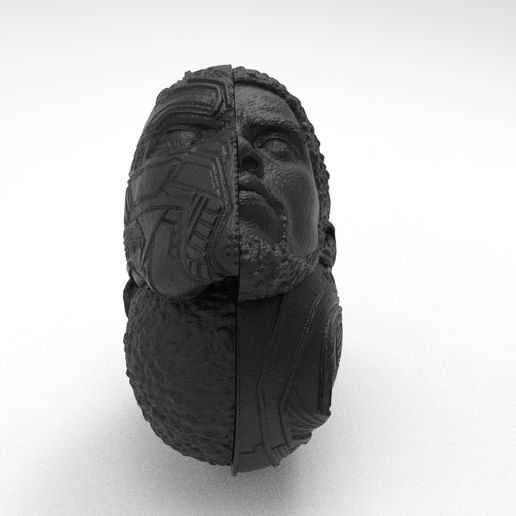 untitled_XR.133.jpg Archivo STL Pantera Negra - T'Challa - Chadwick Boseman (Cambio de cara)・Modelo imprimible en 3D para descargar, RodrigoSC