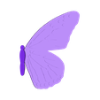 HalfButterfly.STL Half Butterfly Mirror Accessory