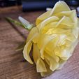 ROSE Mechanised Articulated Flower
