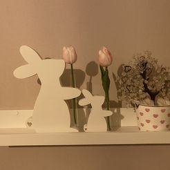 IMG_6159.jpeg Easter Bunny Tube Holder for flowers - Set