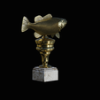 peacock-bass-trophy-3-1-2-7.png Peacock bass (Cichla ocellaris) fish trophy cup 2 for 3d printing