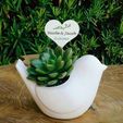 img1654186508277-1.jpg bird planter