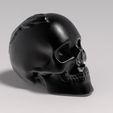 skull-3.JPG Skull