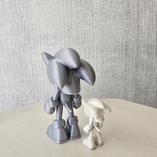 20251107_134458.jpg Sonic