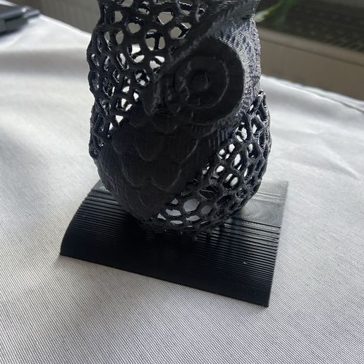 IMG_3943.jpeg Voronoi money box owl