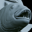 Dentex-head-trophy-48.png fish head trophy Common dentex / dentex dentex open mouth statue detailed texture for 3d printing
