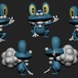 froakie-cults-2.jpg Pokemon - Froakie