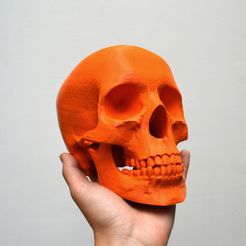 💀 Best 3D printer files of skulls — 144 designs・Cults