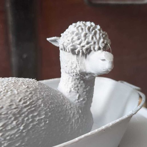 WhatsApp-Image-2026-01-02-at-11.18.43.jpeg Alpaca en la bañera