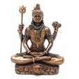 20200920_110933.jpg Shiva in Meditation on Tiger Skin