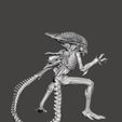 3.jpg Praetorian Xenomorph Alien - AVP 2010 Articulated dynamic pose STL for 3D printing