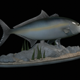 Greater-Amberjack-statue-1-10.png fish greater amberjack / Seriola dumerili statue underwater detailed texture for 3d printing