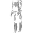 back.jpg Exoskeleton Elysium Max