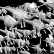 dinosaurs_collection_6.jpg Dinosaurs Pack obj and stl file for game - Dinosaurs unity3d - Dinosaurs ue5 - Dinosaurs ue6
