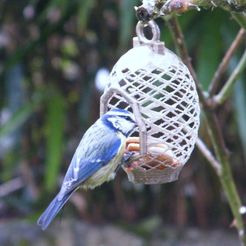nichoir_ext_4.jpg STL file Wild bird feeder・3D print model to download