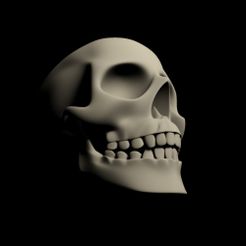 skull_01.jpg Archivo STL Cráneo humano・Plan de impresión en 3D para descargar