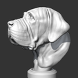 06.png Spanish Mastiff Head AM30 3D print model