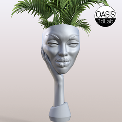 MINIMAL.png Archivo 3D MACETA CON CARA・Modelo para descargar y imprimir en 3D