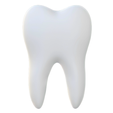 Tooth-2.png Dente humano