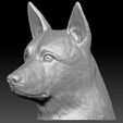 5.jpg German Shepherd head for 3D printing
