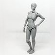 009.jpg Lady Figure the 3D printed female action figure