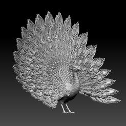 68756.jpg STL file peacock・Template to download and 3D print