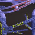 PSfinal0013.jpg Human venous system schematic 3D