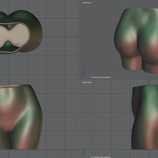 View 3D20170826-004380.jpg Female penholder