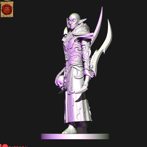 thfzj-kopie.jpg Dark elves Disciple