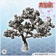 3.jpg Sakura tree (2) - Asian Asia Oriental Angkor Traditionnal Corea Cherry blossom Yoshino Japanese Flower