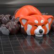 Maya_Red_Panda_V03.jpg Artikulierter roter Panda mit Druck an Ort und Stelle