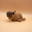 4.jpg Jouet articulé Capybara Fidget, corps imprimé en place, en plusieurs parties, cute-flexi