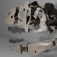 untitled6.png Allosaurus Skull 3d print Model 34 CM