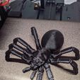 Articulated Tarantula