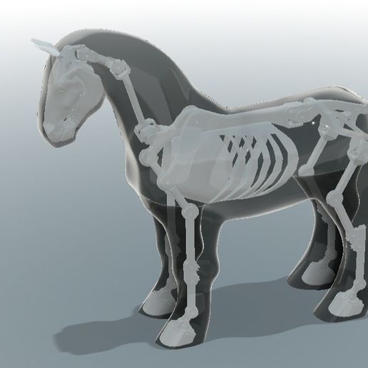 Articulated Horse Skeleton - Perfect Base for Plush Toy