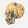 4.jpg scull