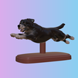 jumping-rottweiler-dog-sculpture-painted-stl.png ROTTWEILER
