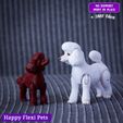 12.jpg Realistic Poodle dog articulated flexi toy named Luna  (STL & 3MF)